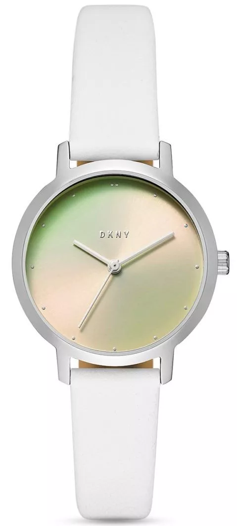 DKNY Modernist Women's Watch NY2738