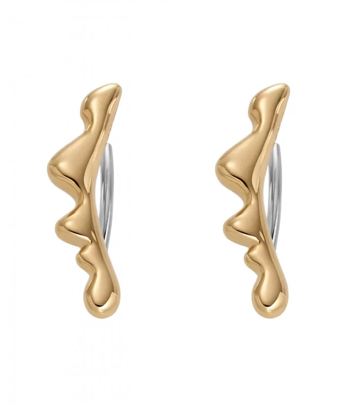 Skagen Kariana earrings SKJ1773710