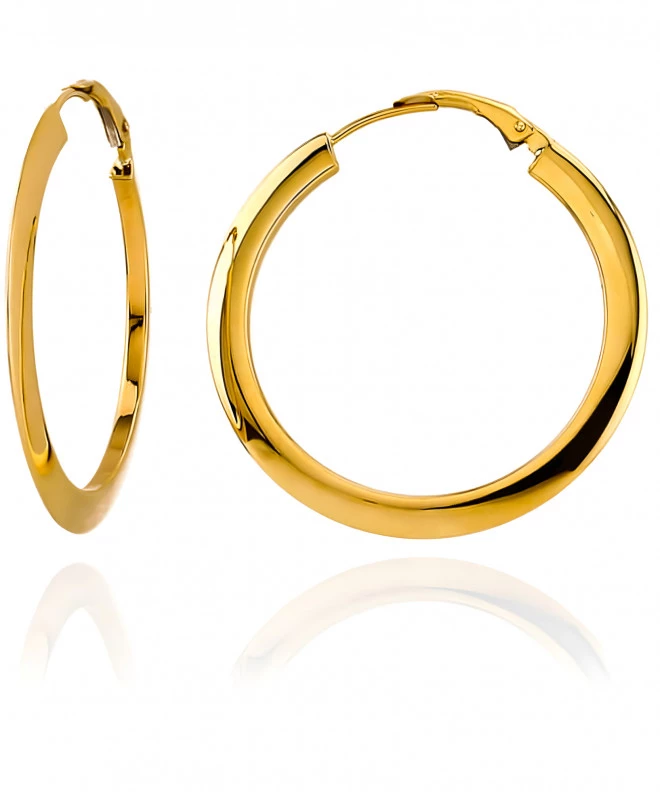 Bonore - Gold 585 earrings 134574