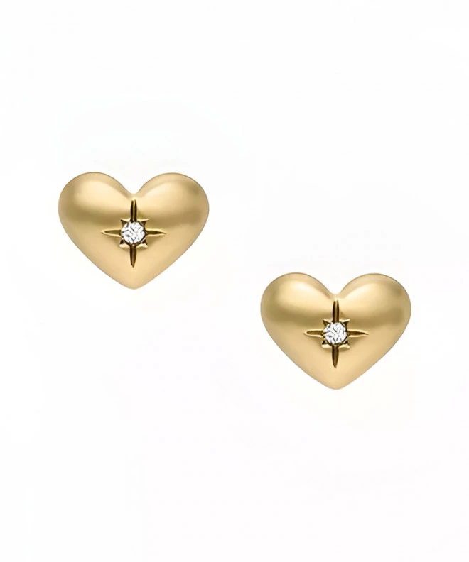 Fossil Sadie earrings JF04832710