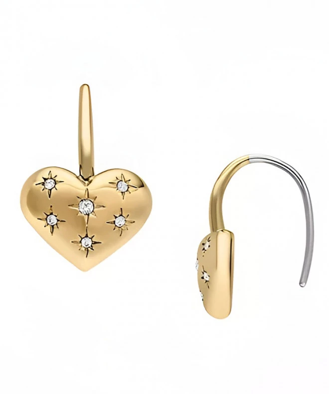 Fossil Sadie earrings JF04833710