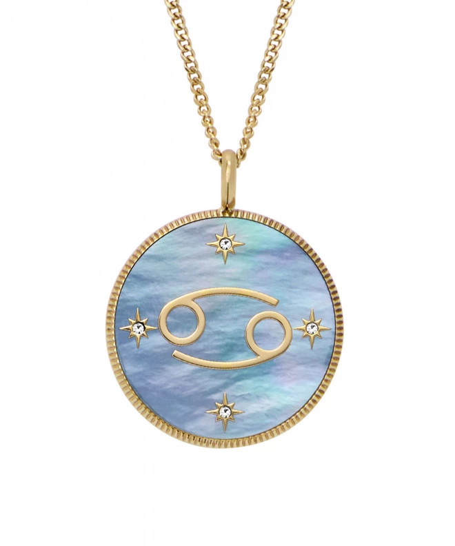 Fossil Harlow necklace JF04841710