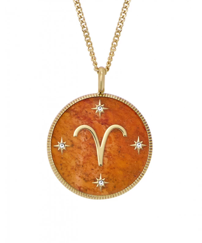 Fossil Harlow necklace JF04838710