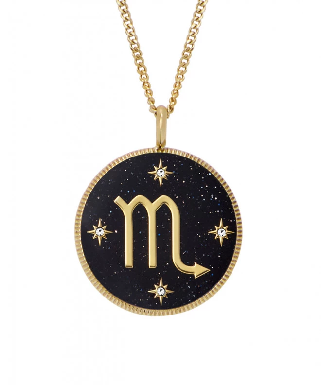 Fossil Harlow necklace JF04845710