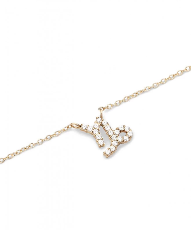Daniel Wellington Crystal Zodiac Chain Gold Capricorn necklace DW00400928