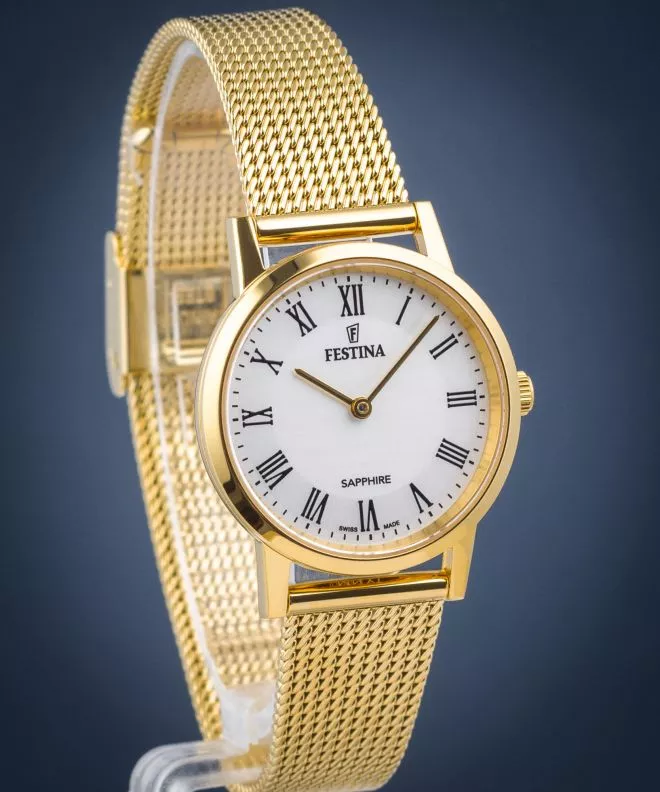 Festina Classic watch F20023/4