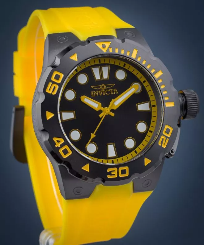 Invicta Pro Diver watch 16138