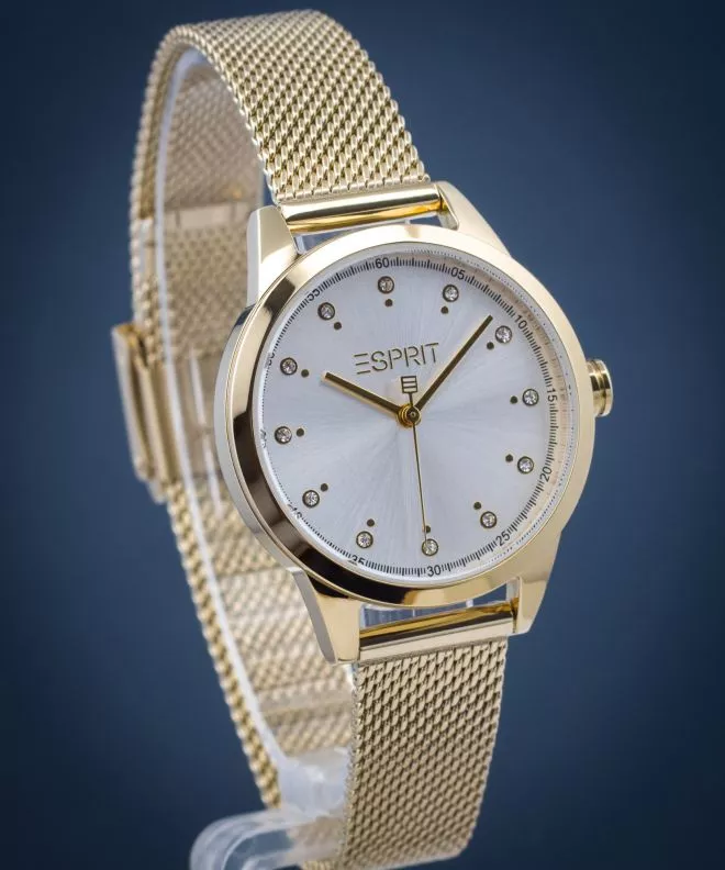 Esprit Pointy Women's Watch ES1L259M1085
