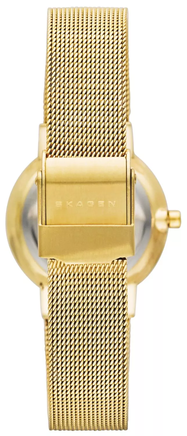 Skagen Classic Women's Watch SKW2196