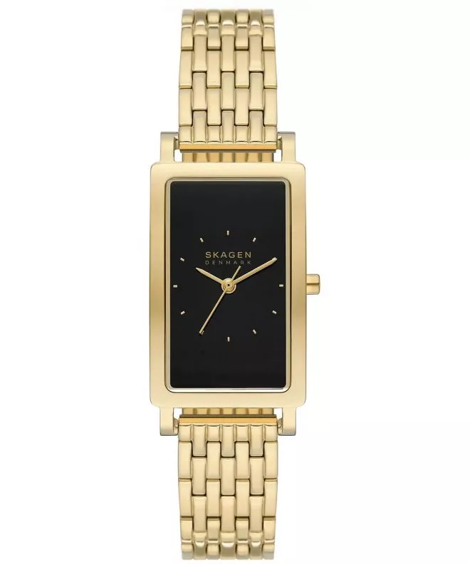 Skagen Hagen  watch SKW3113