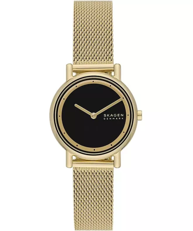 Skagen Signatur Lille  watch SKW3111