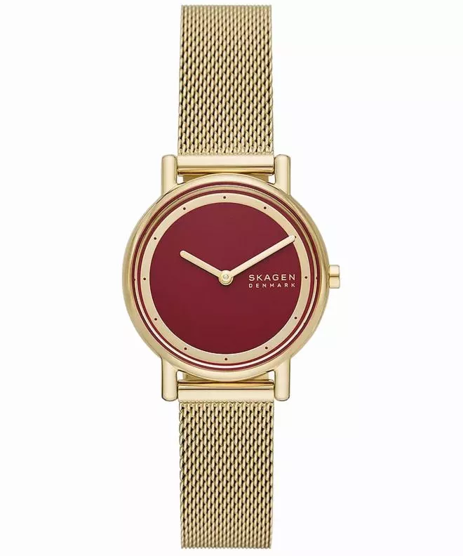 Skagen Signatur Lille  watch SKW3117