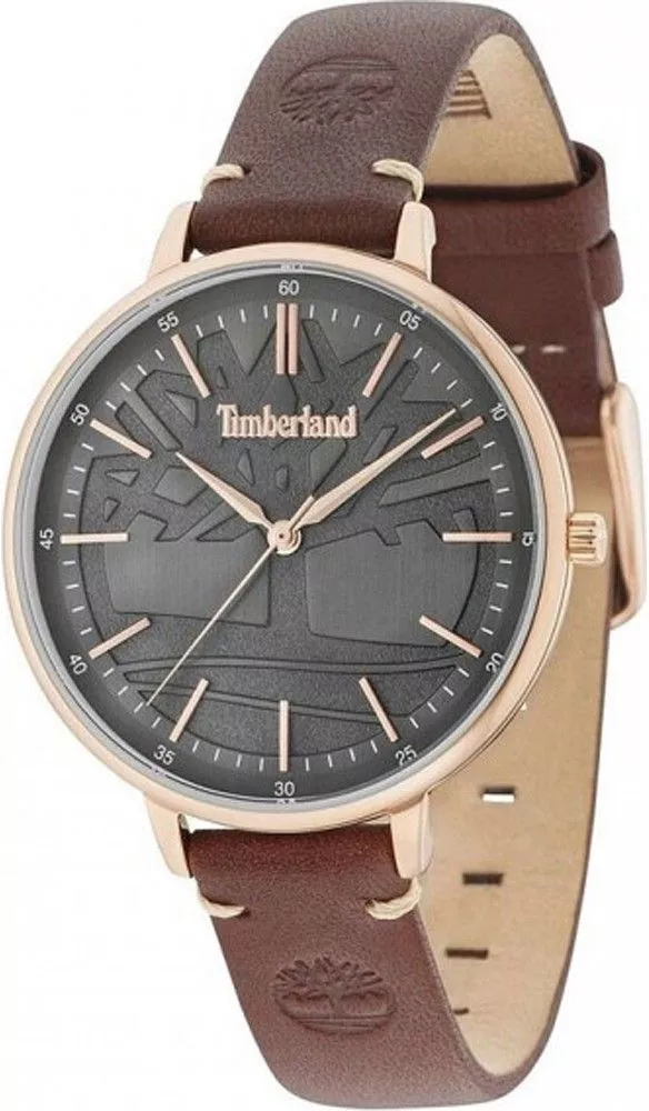 Timberland Falmouth Men's Watch TBL.15261MSR-61