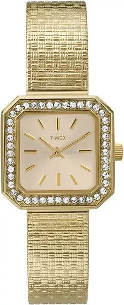 Timex Men's Watch Women's Watch T2P550