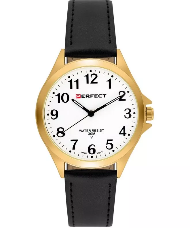 Perfect Blister IP watch PF00895