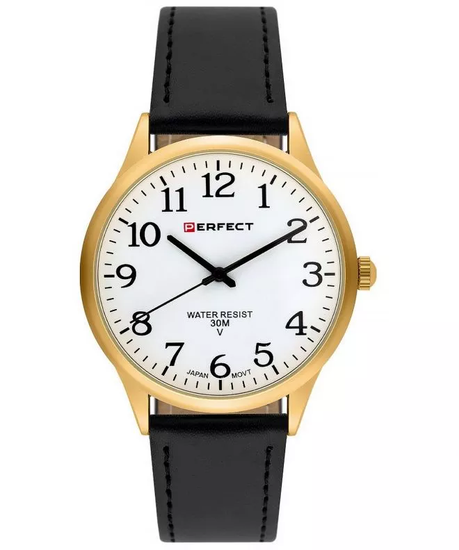 Perfect Blister IP watch PF00904