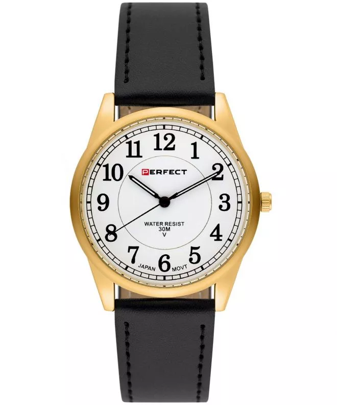 Perfect Blister IP watch PF00909
