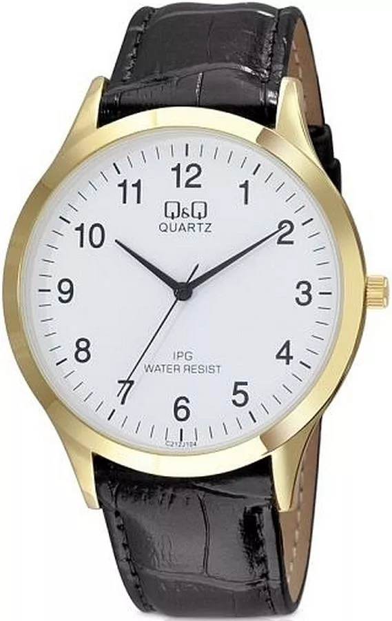 QQ Leather Men's Watch C212-104