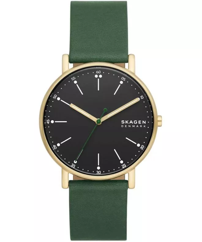Skagen Signatur watch SKW6861