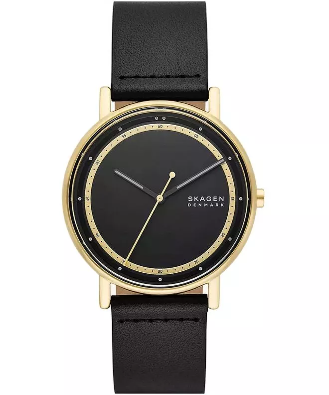 Skagen Signatur  watch SKW6897