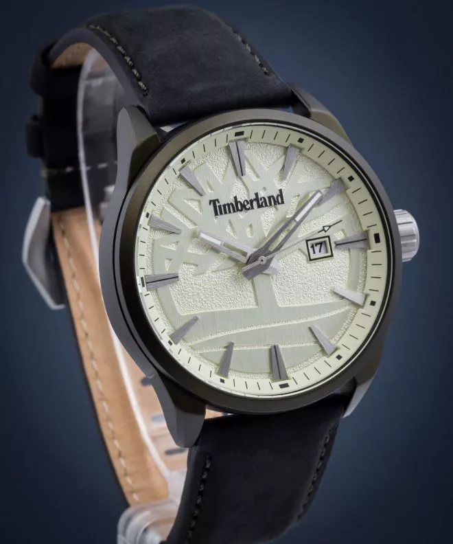 Timberland Phillipson Men's Watch TBL.15576JLGN/14