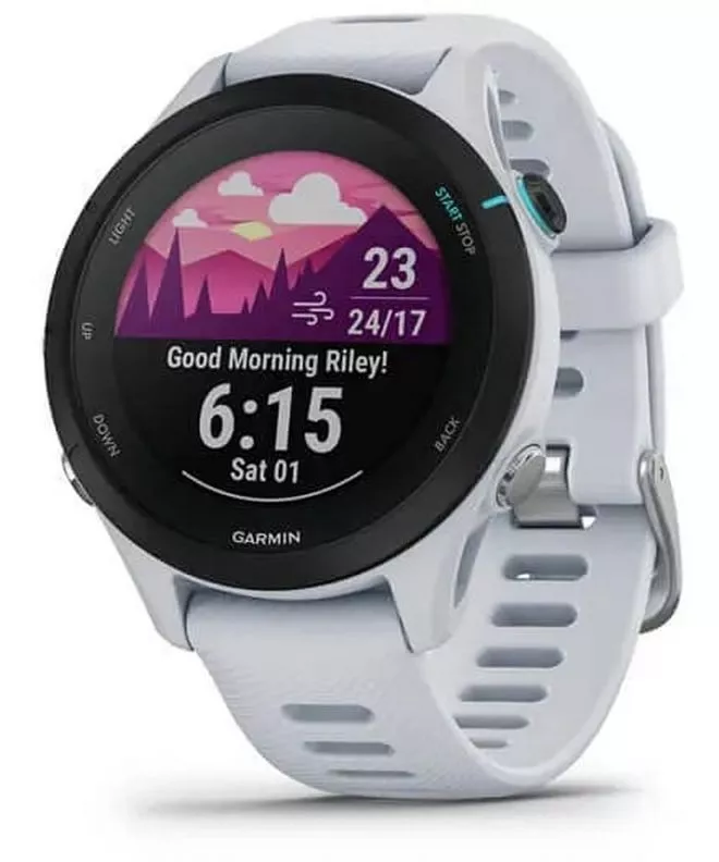 Garmin Forerunner 245 Review - All-Around Running Smartwatch – Ann Arbor  Running Company
