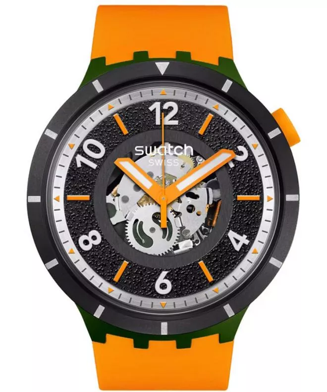 Swatch Bioceramic Fall-iage watch SB03G107