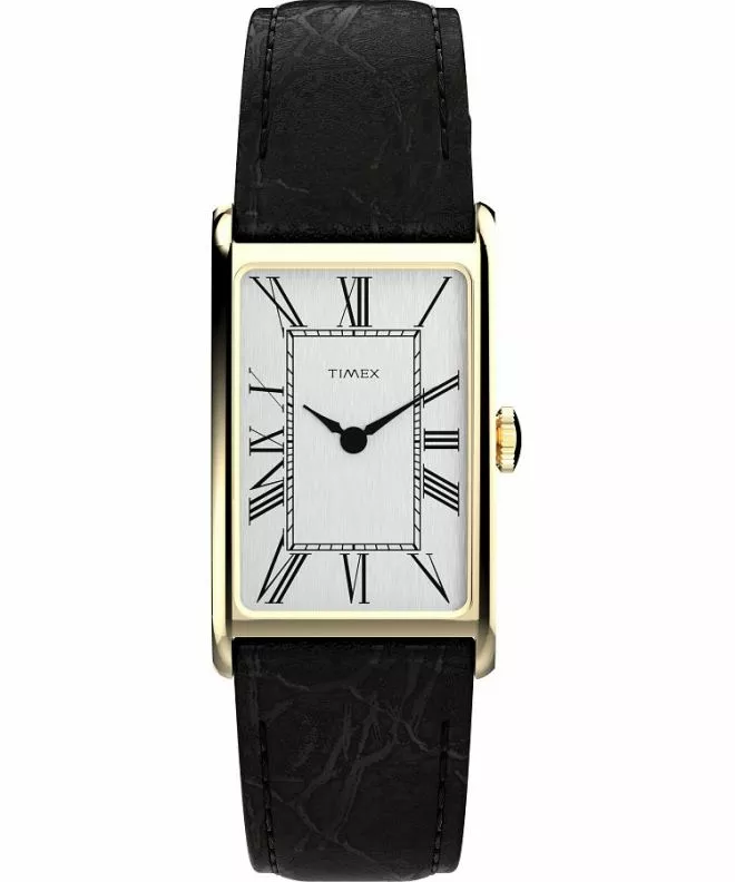 Timex Lab Lab Reissue gents watch TW2Y56200
