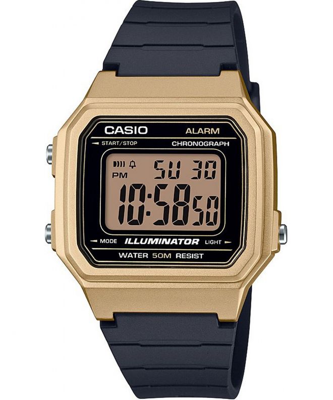 Casio VINTAGE Oldschool Men's Watch W-217HM-9AVEF