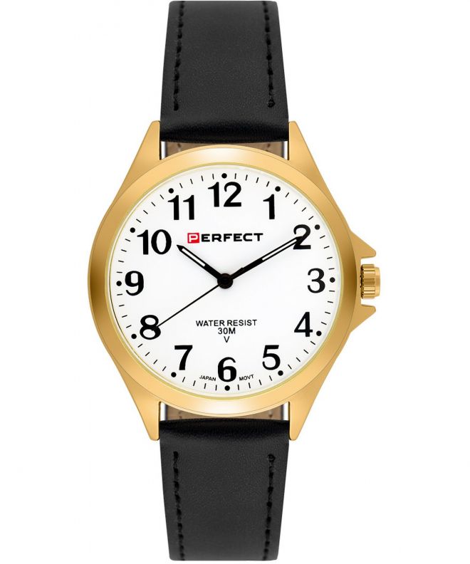 Perfect Blister IP watch PF00895