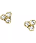 Fossil Sadie Earrings