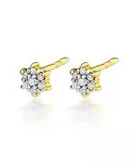 Bonore - Gold 585 - Diamond earrings