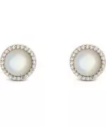 Daniel Wellington Audrey Mother of Pearl Gold earrings