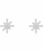 Daniel Wellington Mirelle Star Silver earrings