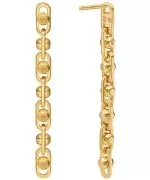Michael Kors Premium Astor Link earrings