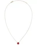 Daniel Wellington Audrey Red Agathe Gold necklace