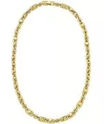 Michael Kors Premium Astor Link necklace