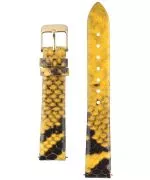 Cluse Minuit Strap