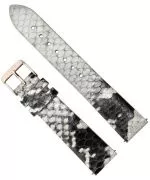 Cluse Minuit Strap