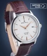 DESTELL Pictor Silver Brown Leather Sapphire watch