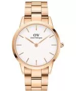 Daniel Wellington Iconic Link Ladies Watch