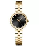 Pierre Ricaud Classic watch