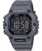 Casio Timeless Collection watch