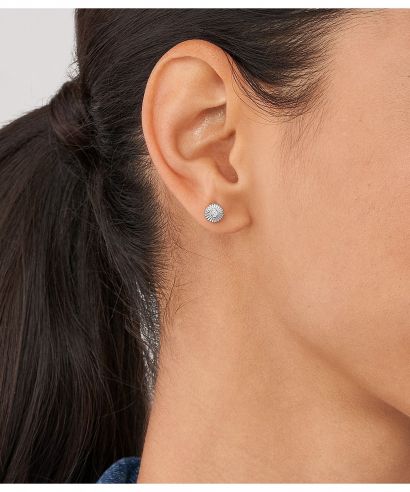 Fossil Sterling Women's Earrings					