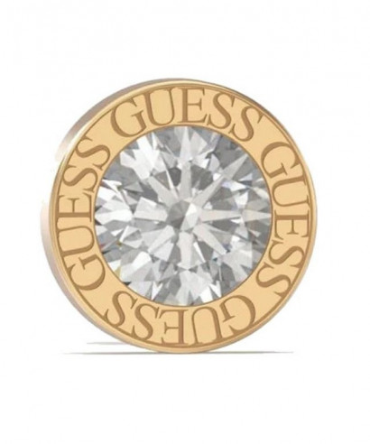 Guess Color My Day earrings