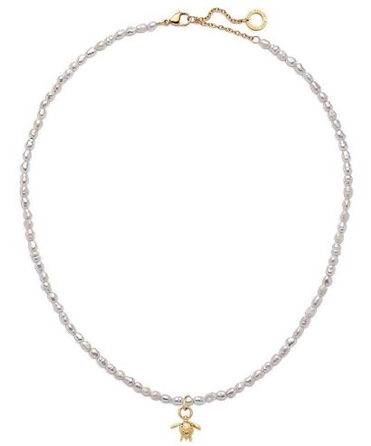 Paul Hewitt Set Turtle Charm And Gold necklace