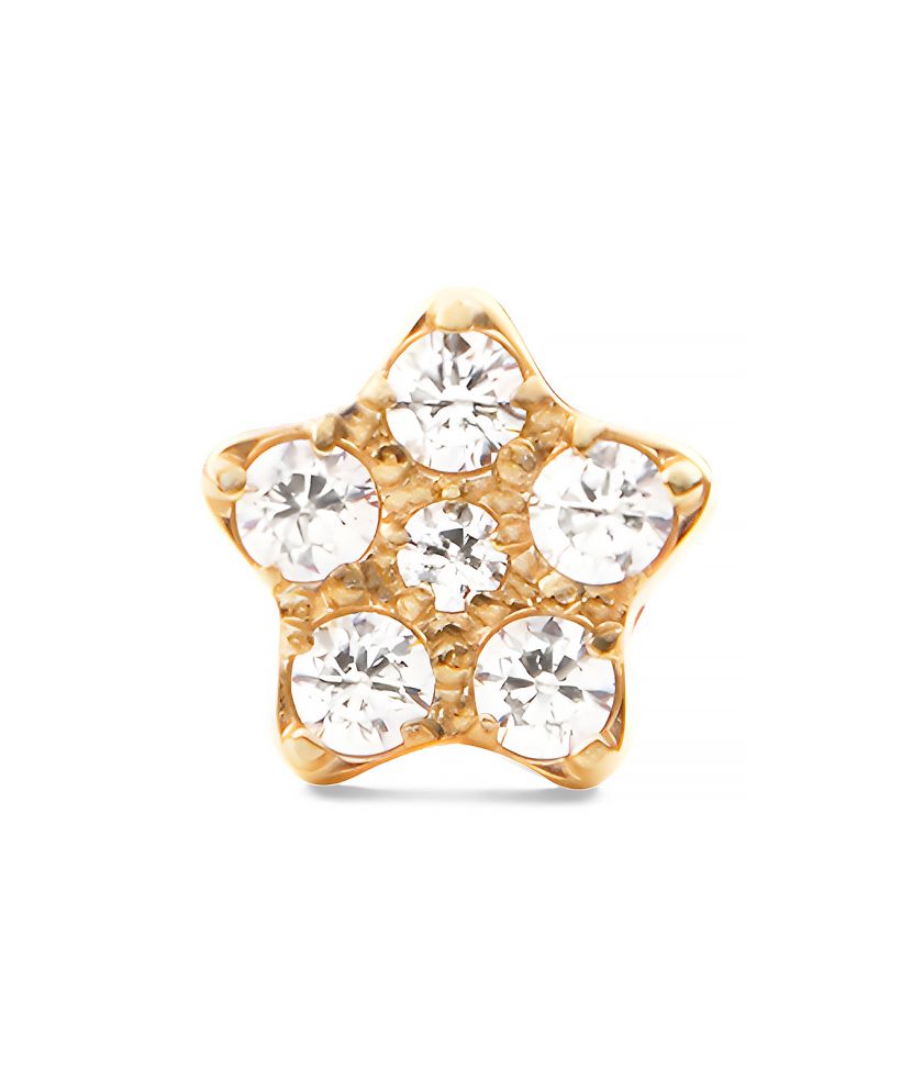 Daniel Wellington Crystal Star Stud Gold earring