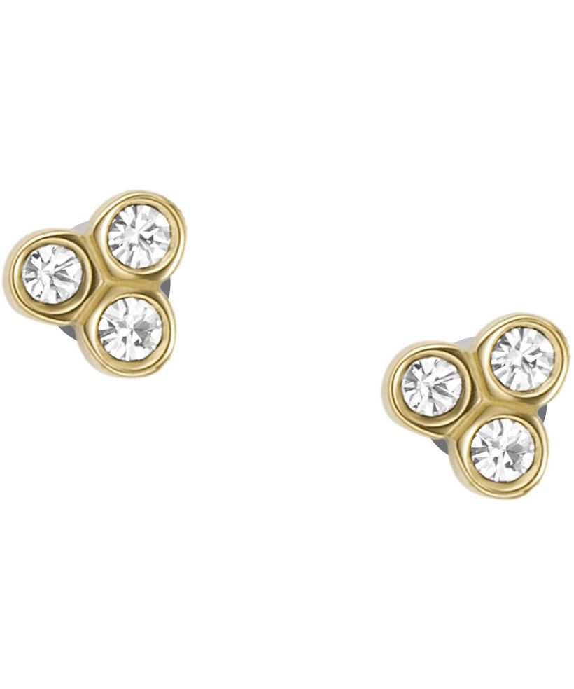 Fossil Sadie Earrings