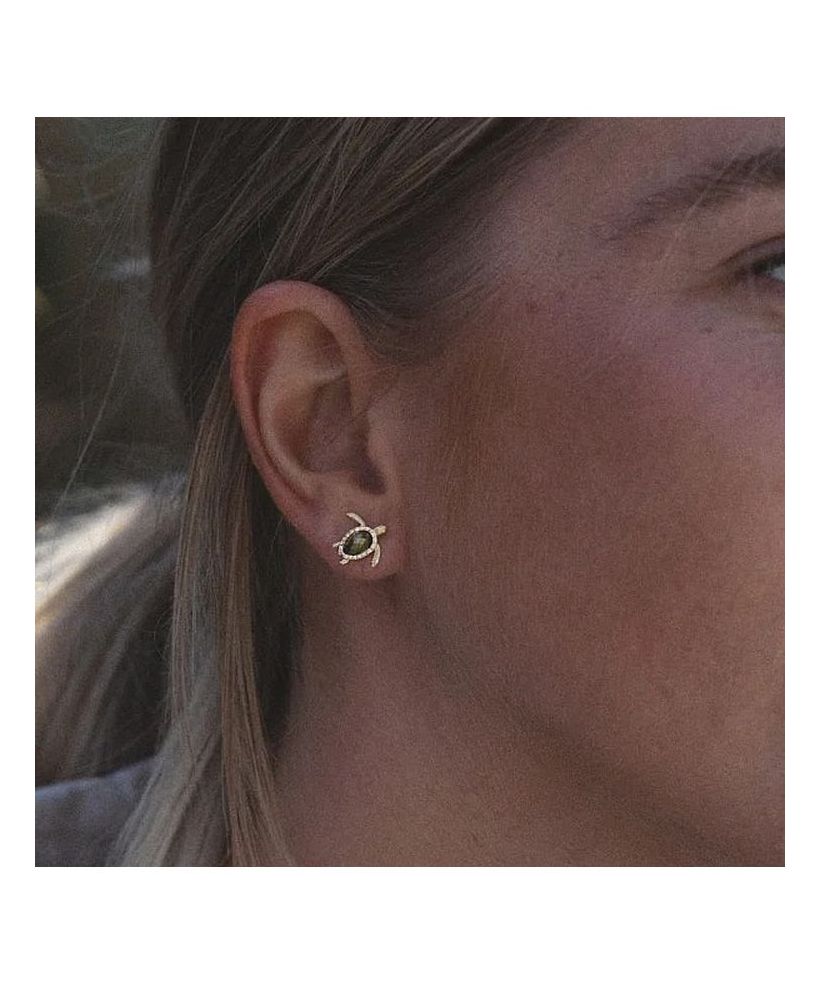 Paul Hewitt Turtle Gold earrings