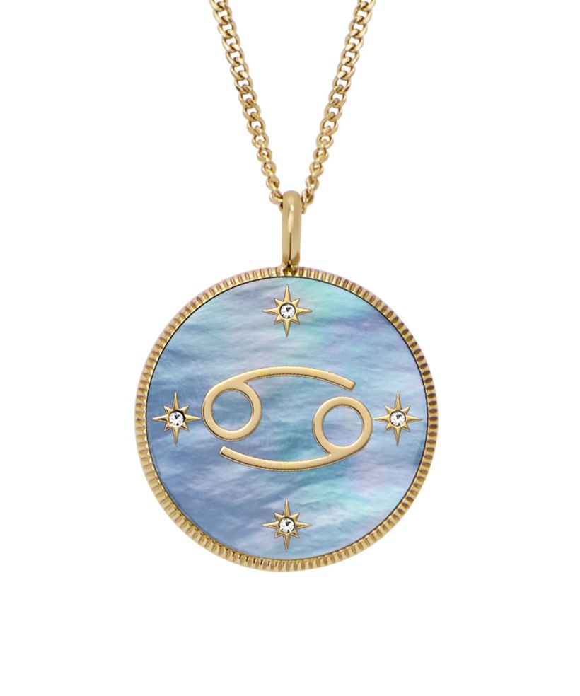 Fossil Harlow necklace